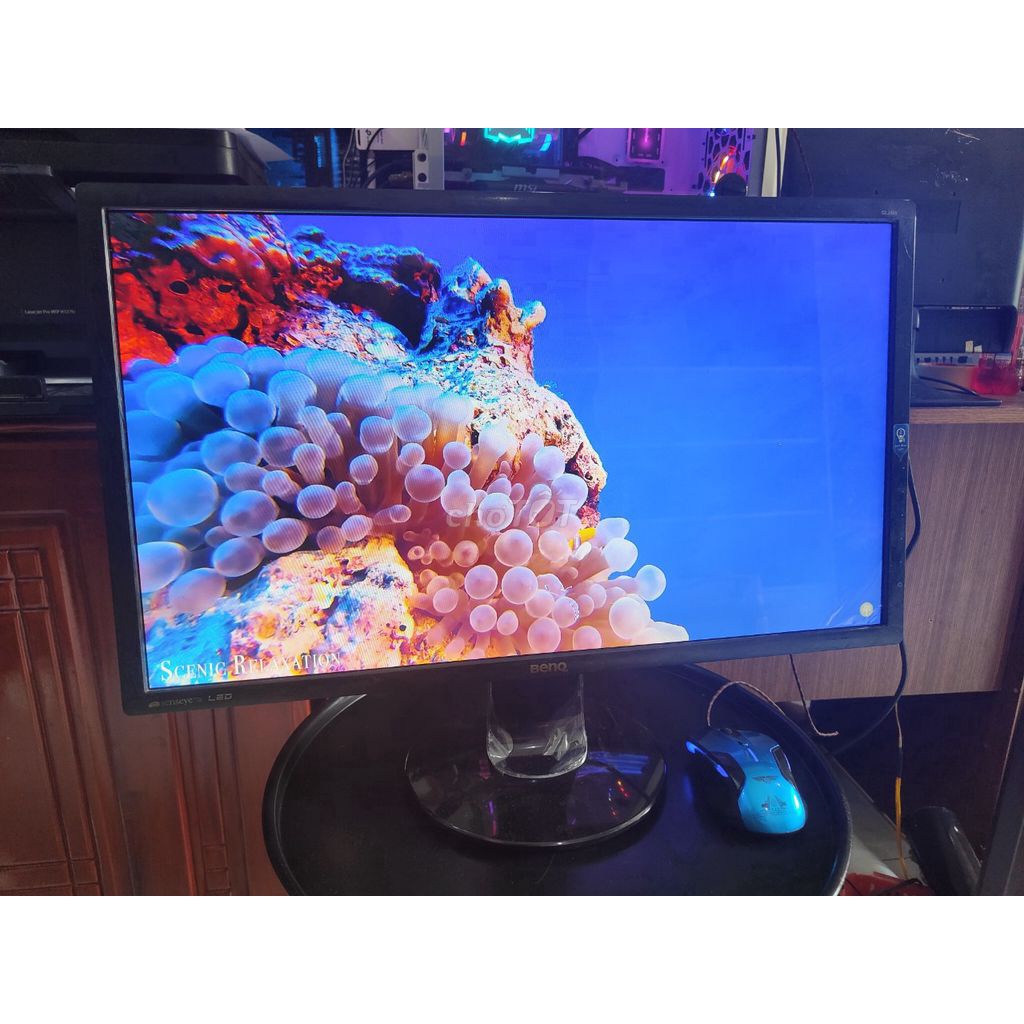 Màn hình BenQ  24 led đẹp