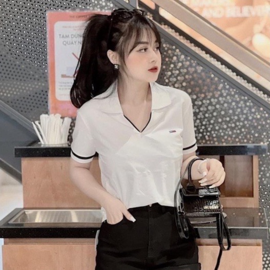 Áo polo nữ Bingshop cổ dệt bo len tay vải cá sấu cao cấp hàng có size