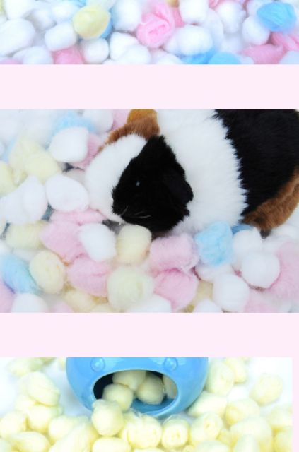 Bông gòn cotton lót ổ cho hamster