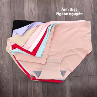 set quần chíp su đúc 8c
