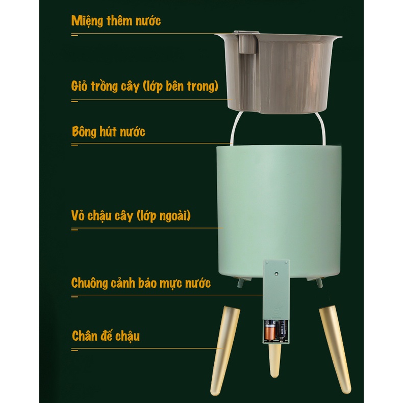Chậu cây thông minh Oliz Z5 - Chậu trồng cây tựu tưới, có chuông báo khi cây thiếu nước. Trang trí nhà cửa, văn phòng