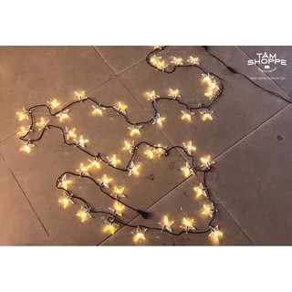 Dây đèn Led ngôi sao 5m Màu vàng ấm DLTT