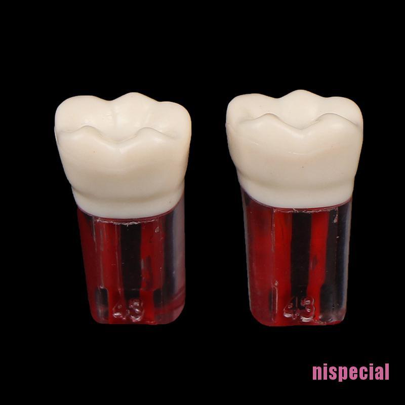 (Hàng Mới Về) Bộ 2 Chiếc Răng Giả Bằng Nhựa