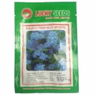 Hạt giống Lưu Li - Lucky