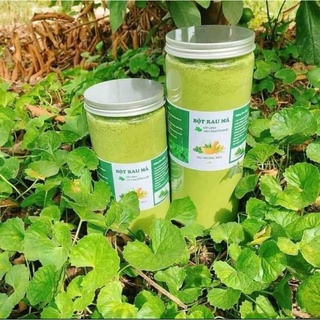 Bột rau má sấy lạnh hộp 500g