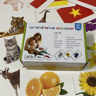 BỘ THẺ THẾ GIỚI XUNG QUANH 300 THẺ  - DẠY BÉ BIẾT ĐỌC SỚM