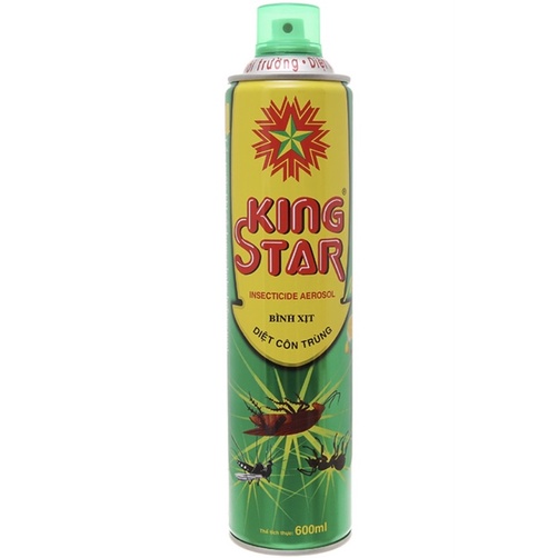 Bình Xịt diệt côn trùng KING STAR (600ml)