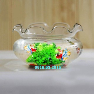 Bể cá, chậu bon sai để bàn 15cm x8cm