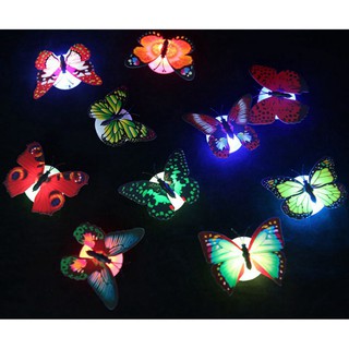 Đèn LED trang trí hình bươm bướm lãng mạn