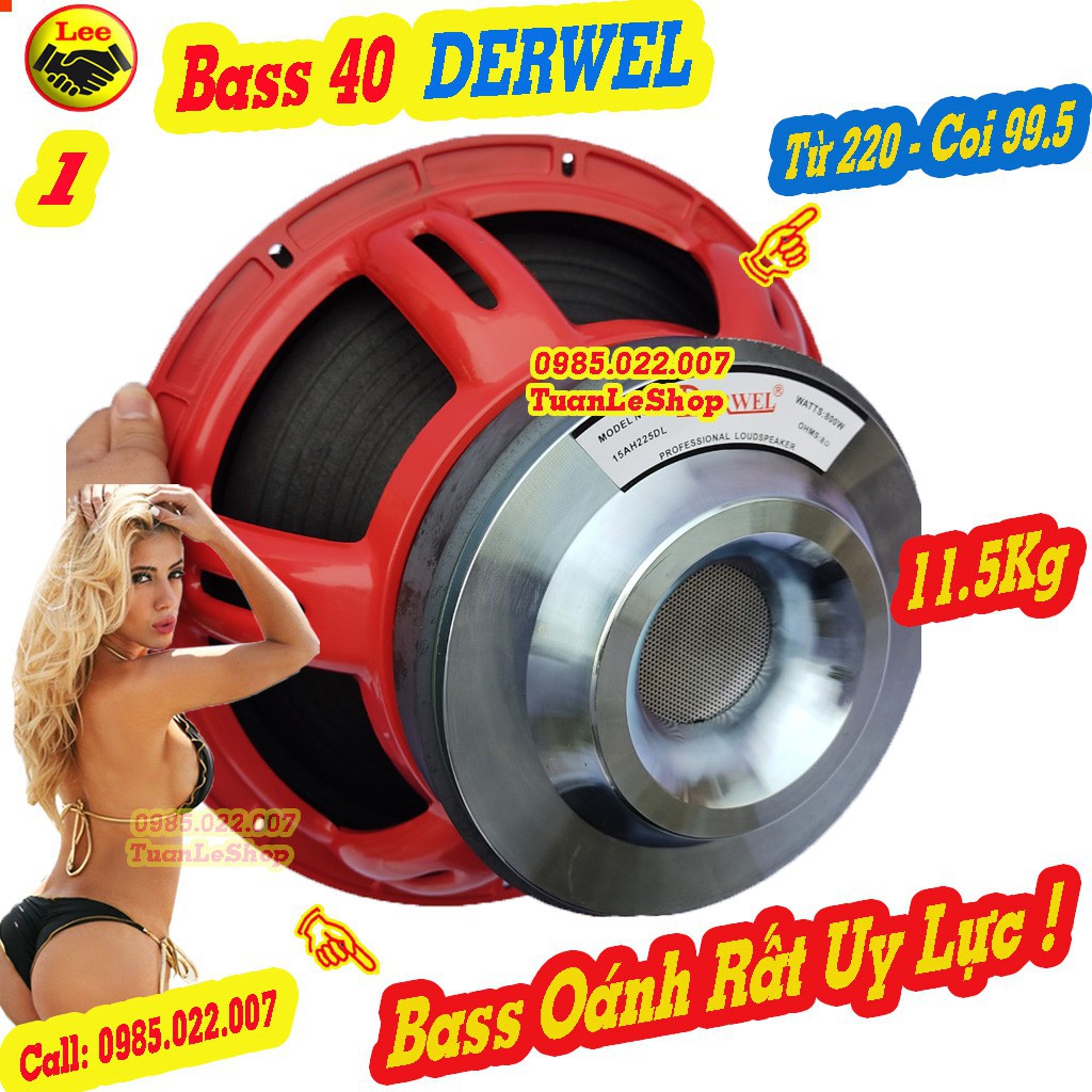 LOA BASS 4 TẤC COIL 100 TỪ 220 DERWEL 15AH225DL  -LOA  4 TAC – GIÁ 1 CỦ LOA RỜI BASS 40