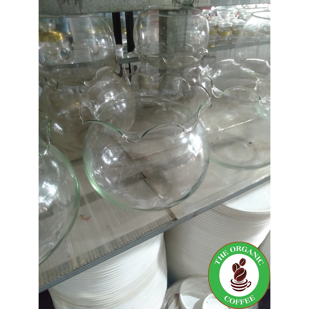 BỂ CÁ THỦY TINH,HỒ CÁ MINI,CHẬU CÂY THỦY SINH ĐỂ BÀN-THỦY TINH CAO CẤP PHglass