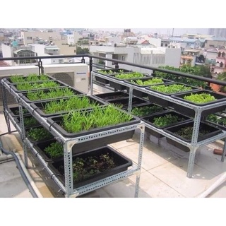Khay Trồng Rau Thông Minh - Chậu Nhựa Trồng Rau, Trồng Hoa Kiểu Nhật KT 48x34x16 Cm (bán từ 02 sp trở lên)