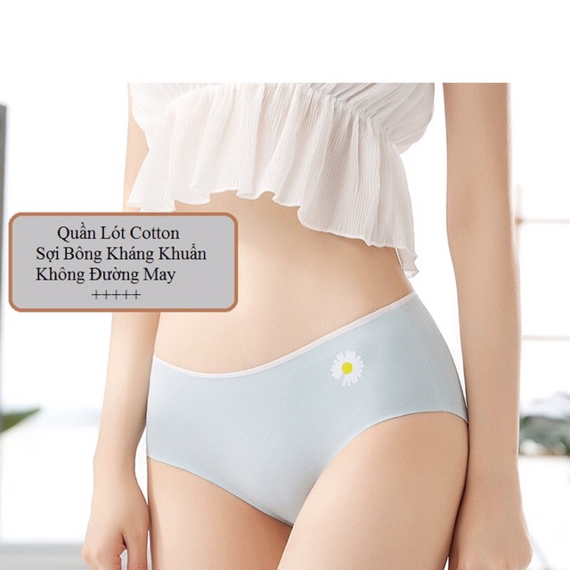 Quần Lót Cotton Ép Không Viền Hoa Cúc Hotrend 287