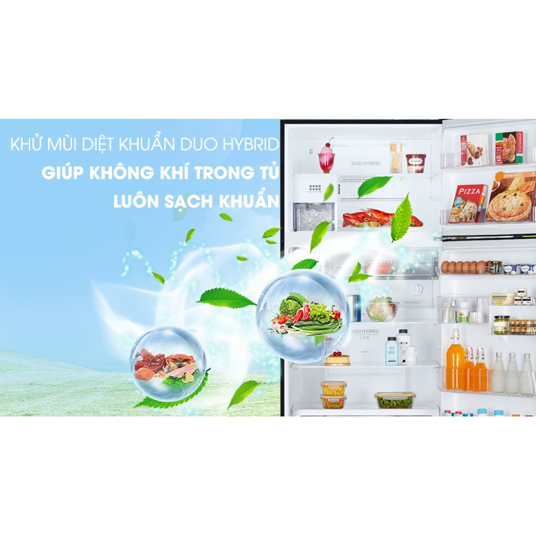 Tủ lạnh Toshiba GR-AG58VA (X) Inverter 555 lít