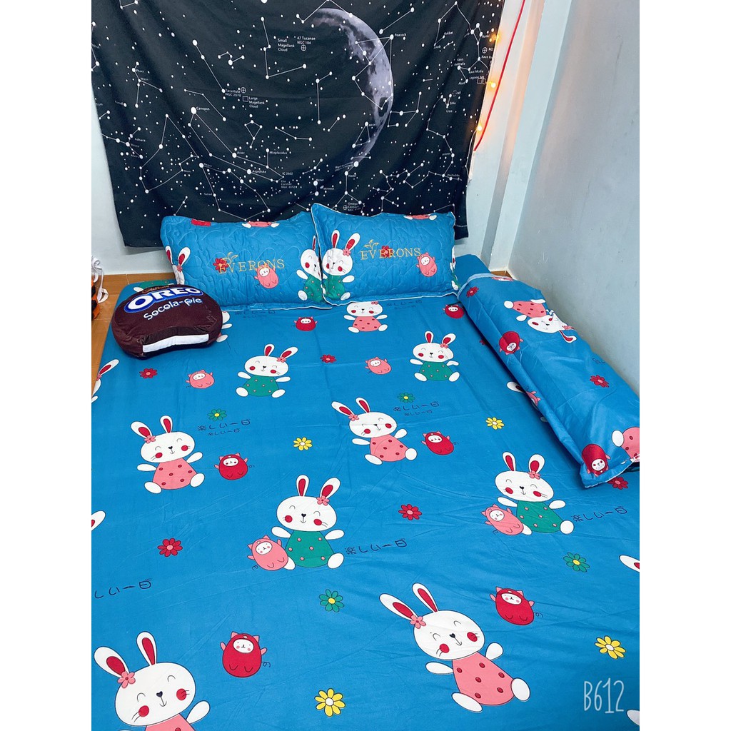 (FREESHIP) Combo 4 món bộ drap ga giường chất liệu cotton poly hàn quốc | BigBuy360 - bigbuy360.vn