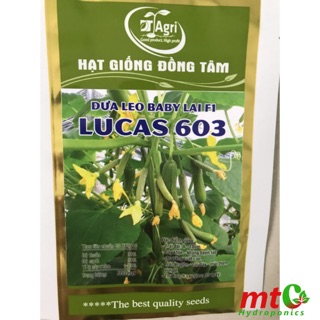 Hạt Giống Dưa Leo Baby SAI QUẢ, TỰ THỤ PHẤN Lucas 603, gói 10 hạt