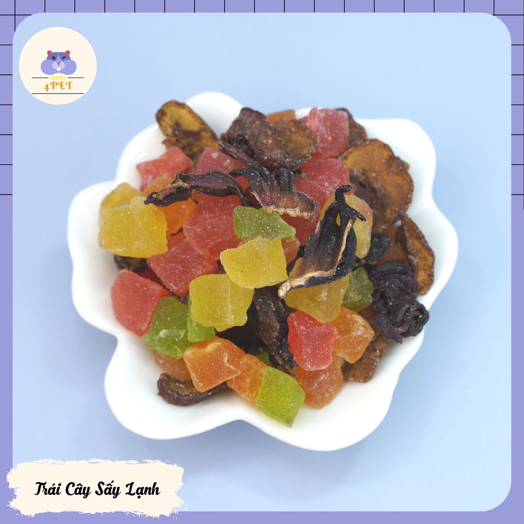 Trái Cây Sấy Lạnh Bổ Sung Vitamin cho Hamster, Sóc, Nhím,...