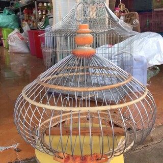 1 lồng chim cu gáy + áo lồng cu