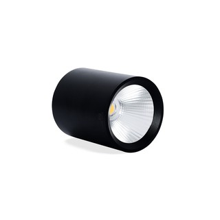 Đèn LED Ống Bơ Chiếu Rọi PERIDOT (OBR-SS Series) - KINGLED (Hàng Chính Hãng)