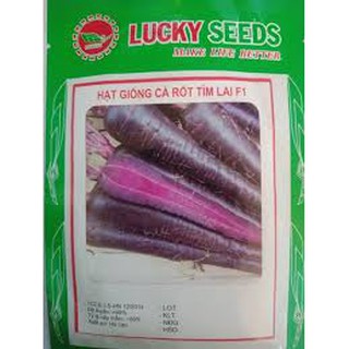 Hạt giống cà rốt tím (0,2g)