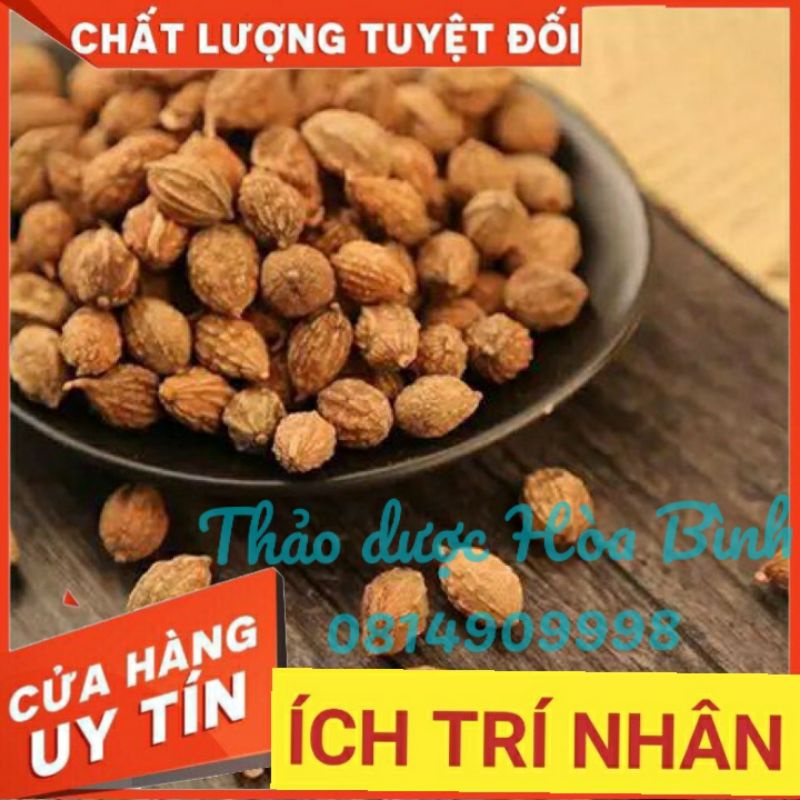 Ích Trí Nhân 500g - Hàng chất lượng chuẩn loại 1 sạch, mới