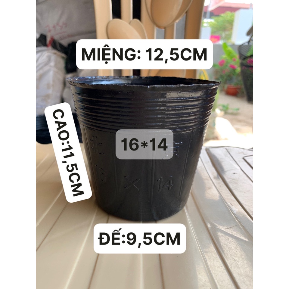 BẦU ƯƠM CÂY 16*14 DÀY VÀ MỎNG ( DỊCH TRUYỀN CHO CÂY, KÍCH RỄ , MẦM CÂY XANH LÁ, LƯỚI CHE NẮNG...)