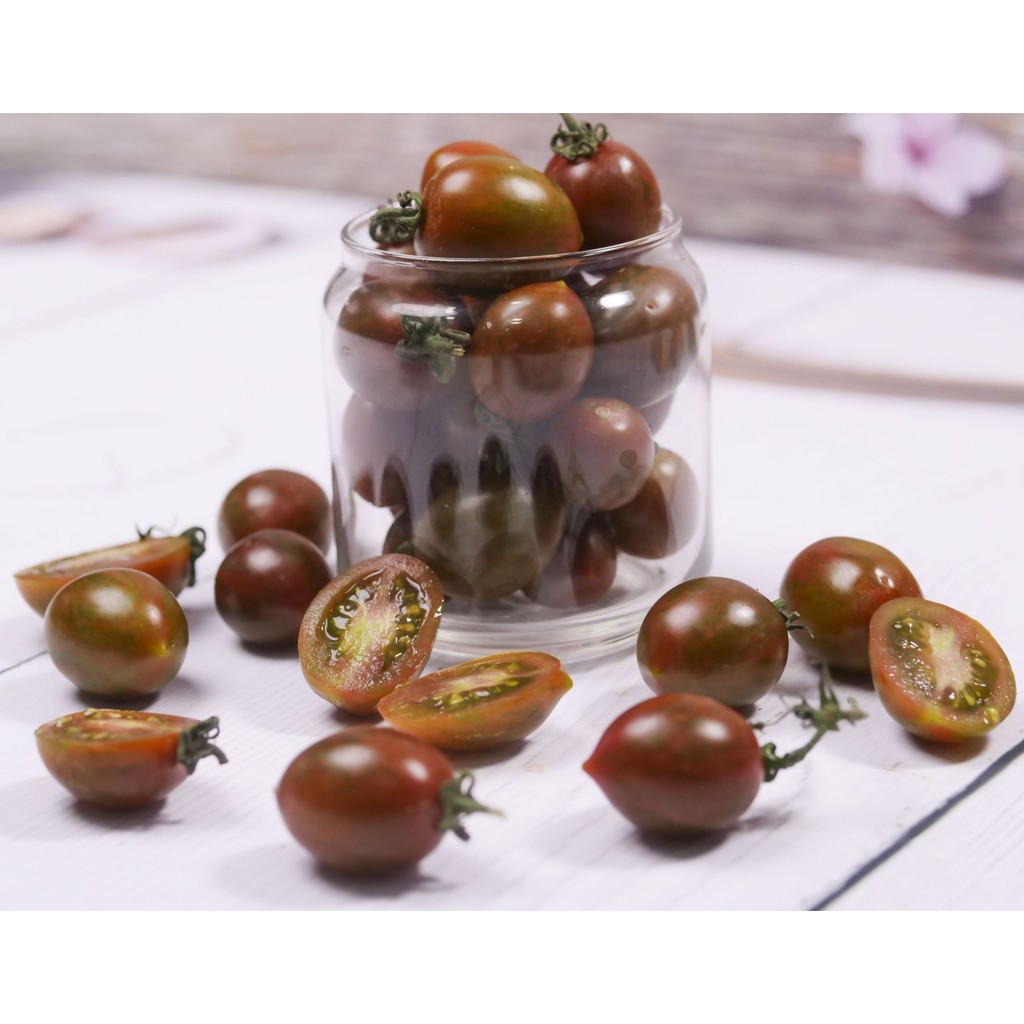Chậu cây giống Cà Chua Socola giao cây khỏe kháng bệnh tốt - Trang Flowers