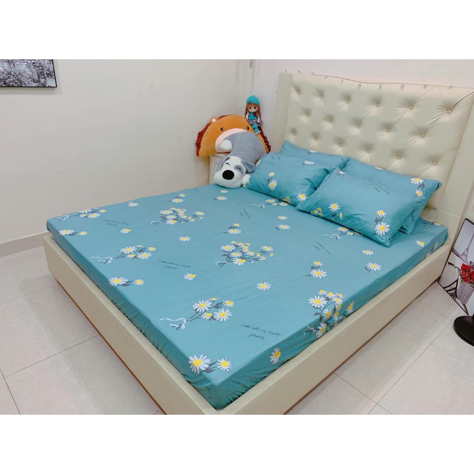 Bộ ga chun và 2 áo gối nằm Emmidecor - mẫu Cúc họa my, drap cotton poly