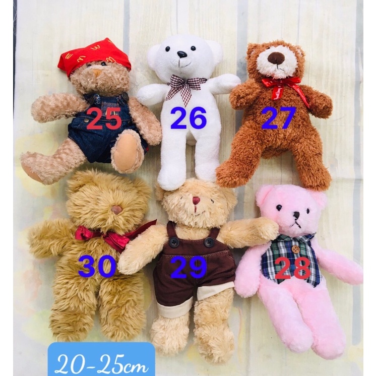 Gấu bông teddy size 15-28cm( chọn mẫu)