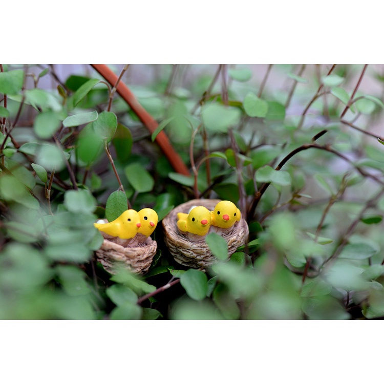 Tiểu cảnh mini ❤️H052 ❤️ Tổ chim mini trang trí tiểu cảnh, sen đá, terrarium
