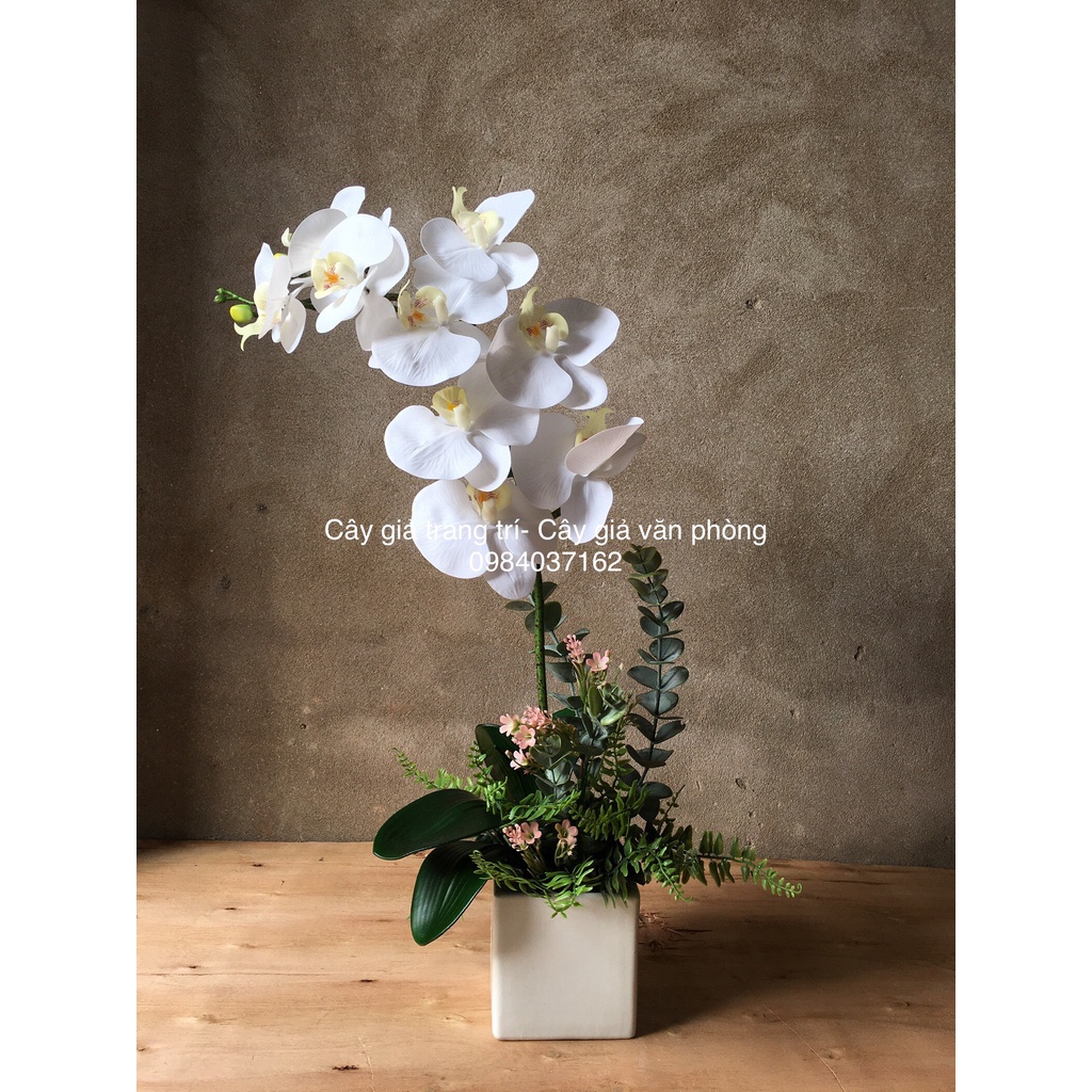 Chậu Hoa Lan Trang Trí Để Bàn - Hoa Giả Để Bàn Kèm Chậu Gốm