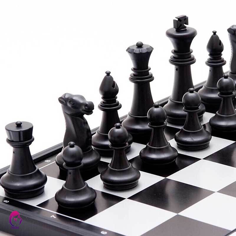 Cờ Vua Nam Châm Cao Cấp Cờ Vua Quốc Tế Quân Trắng Đen Đồ Chơi Trí Tuệ Cho Bé Và Gia Đình