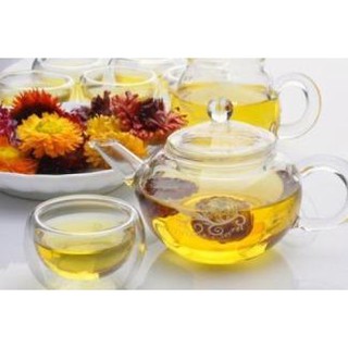 Trà hoa cúc bất tử