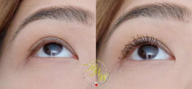 Mascara Dài và Dày Mi CATHY DOLL Pretty Volume x2 Double - Thái Lan