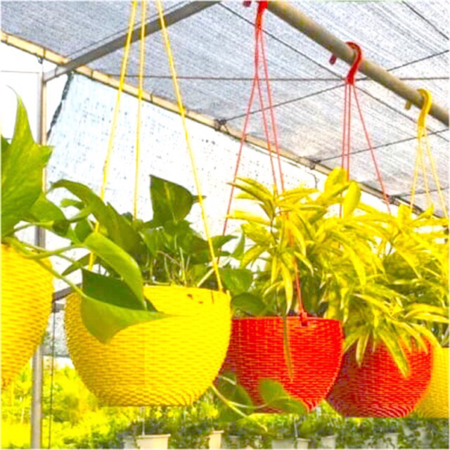 5 Bộ Chậu Nhựa Mây Treo/chậu tròn mây treo + tặng kèm dây treo - Set of Plastic Hanging Rattan Pots