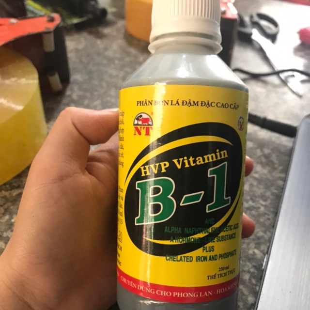 Vitamil B-1 HVP Bổ Sung Vi Lượng Cho Cây 100ml