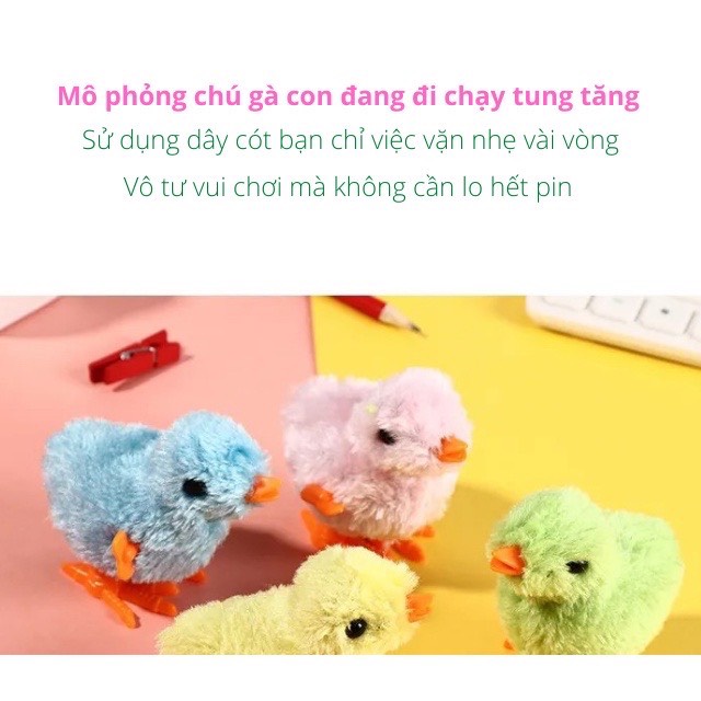 Gà Con Chạy Bằng Cót Cực Dễ Thương