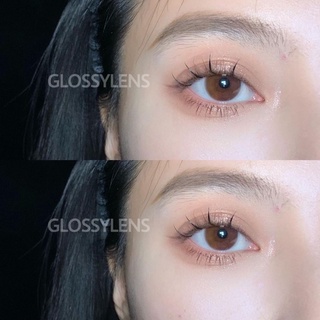 Kính áp tròng DOL BROWN Lens | Size không giãn HSD 3tháng. Giá 1 đôi tặng khay @glossylens.vn