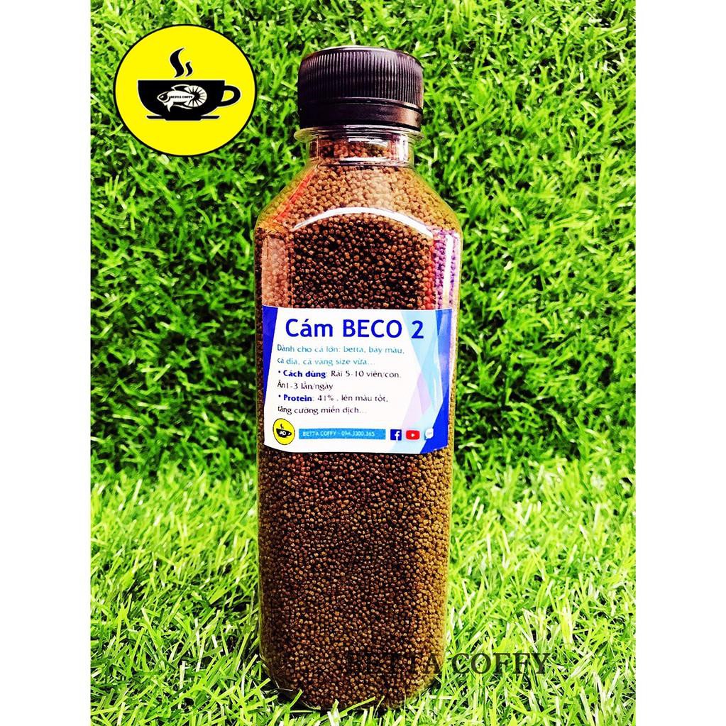 🥩 Cám BECO 2 - Thức ăn cho cá lớn  BETTA COFFY ☕️