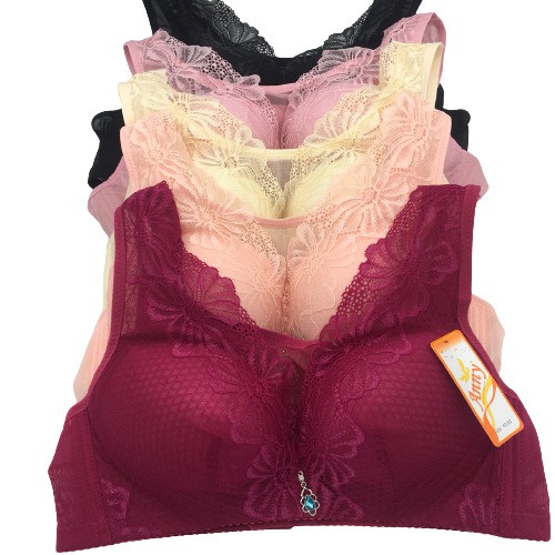 áo lót đệm mỏng , áo lót nữ định hình không gọng 962 không gian eva