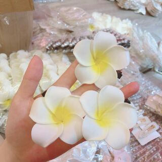 Set kẹp tóc