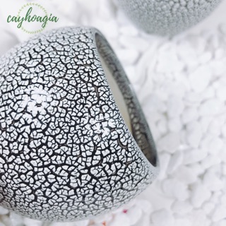 Chậu men sứ rạn mini (không kèm cây)