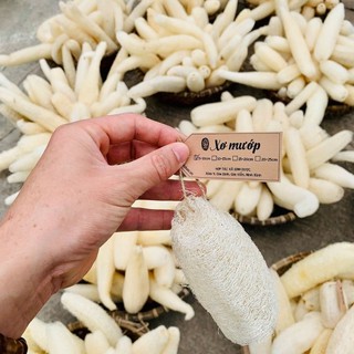 Xơ Mướp Khô Tự Nhiên, Để Tắm, Tẩy Da Chết, Rửa Bát - Nguyên trái hoặc cắt nhỏ tiện dụng