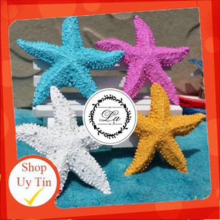 [Lạ Decor] Sao biển nhiều màu sắc làm phụ kiện chụp ảnh