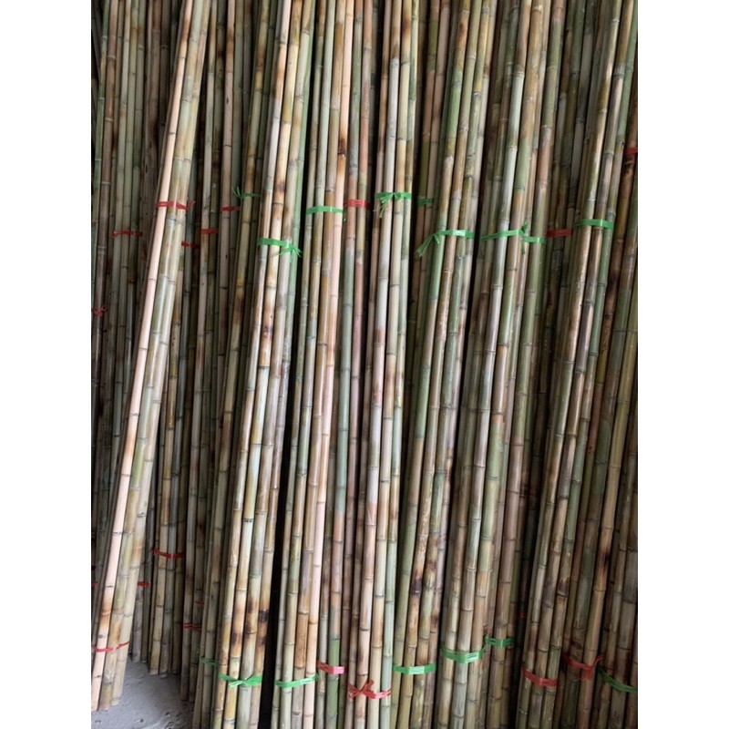 Tre trúc bè giáo công trình, tre trúc 4m