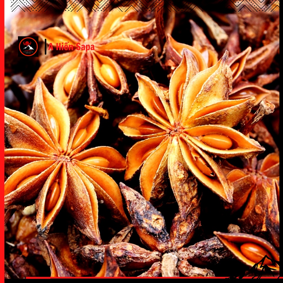 Hoa hồi ( đại hồi ) Tây Bắc gói 200 gr , gia vị phở thơm ngon, đặc biệt.