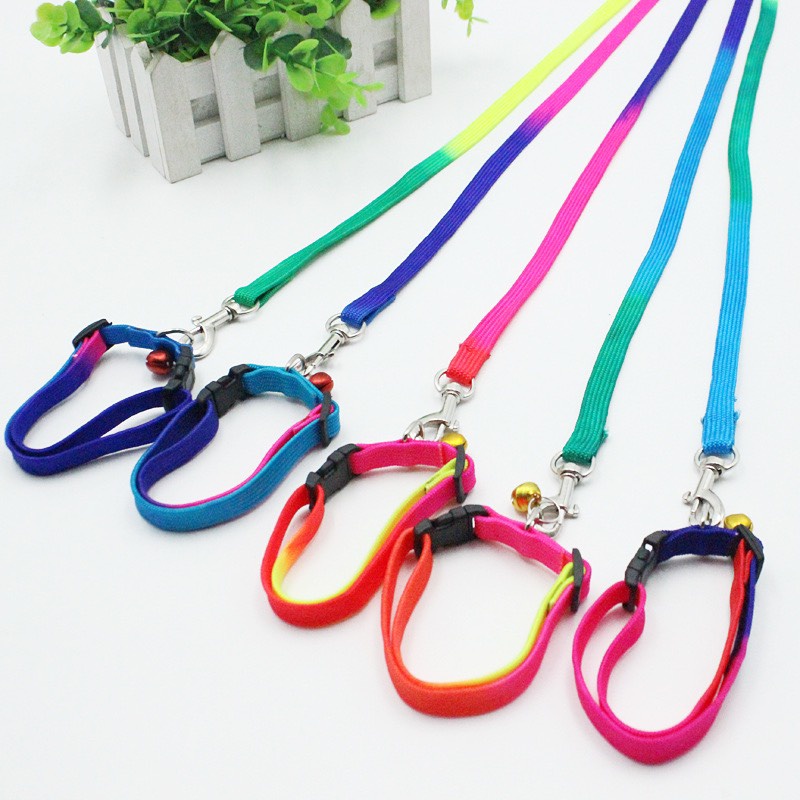 Dây Dắt Kèm Vòng Cổ 7 Sắc Cầu Vồng Cho Chó Mèo, Phụ Kiện Thú Cưng