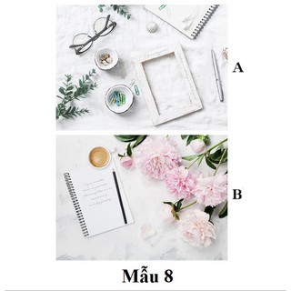 Phông Nền Chụp Ảnh 3D 2 Mặt Bìa Cứng Kháng Nước Hình 3D In Sắc Nét Mẫu 8