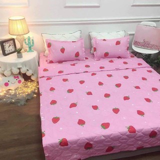 Combo ga gối poly 1m8 hình dâu tây