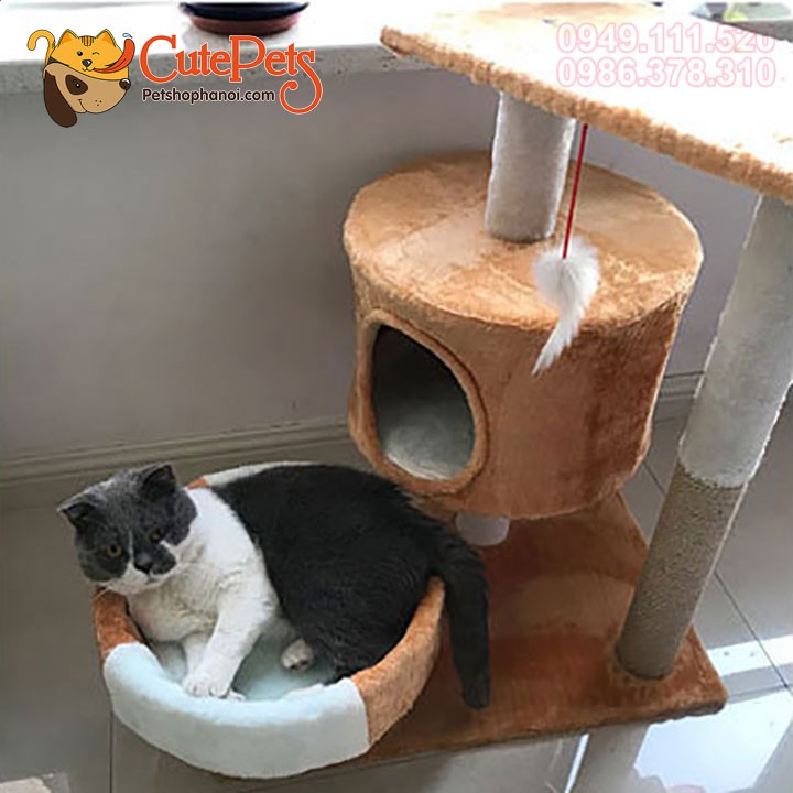 Nhà cây cho mèo Cat Tree 49x34x52cm Trụ cao móng dành cho mèo - Cutepets